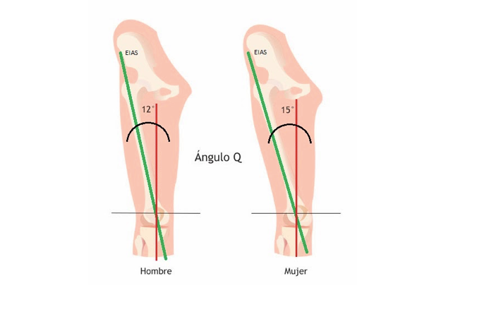 Dibujo del Ángulo Q de la rodilla, hombre y mujeres